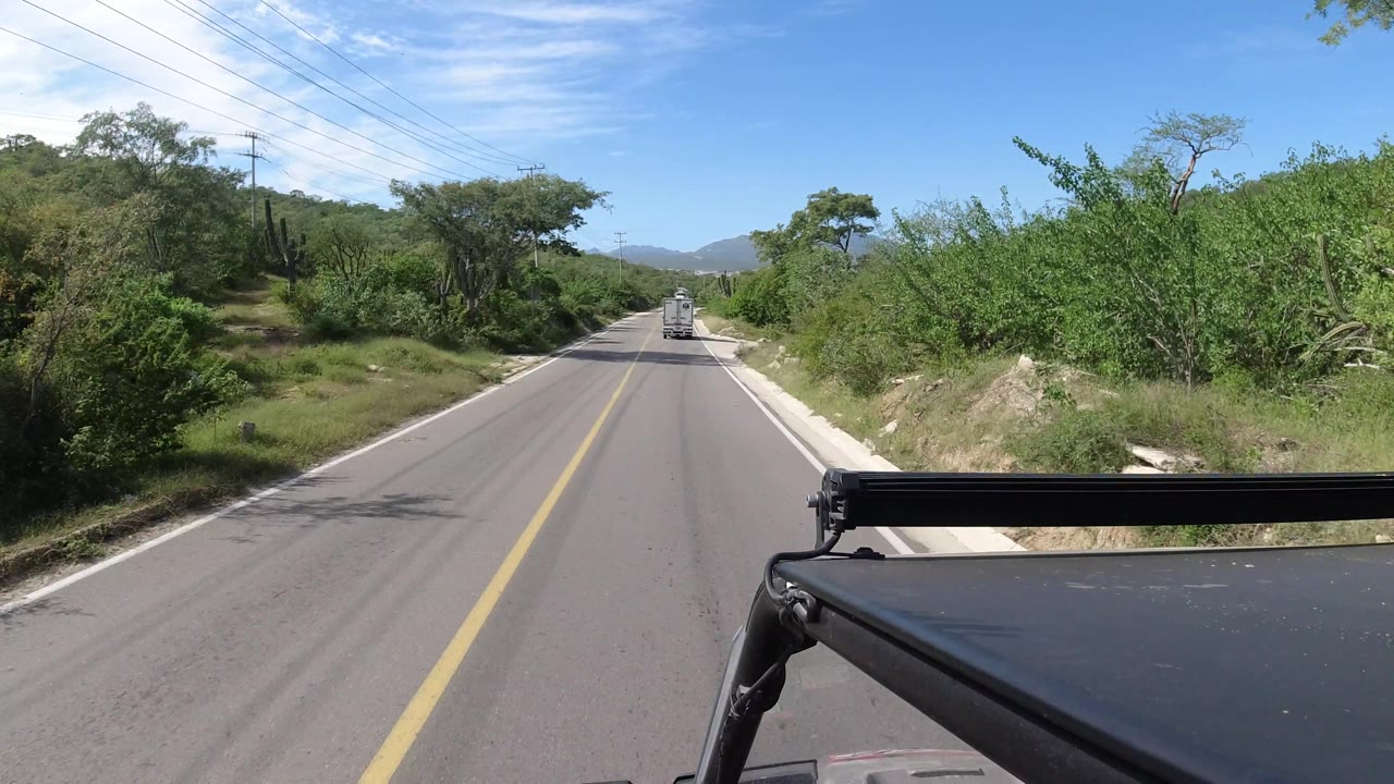 Rural road with cactus, shrubs, and a distant vehicle ahead.