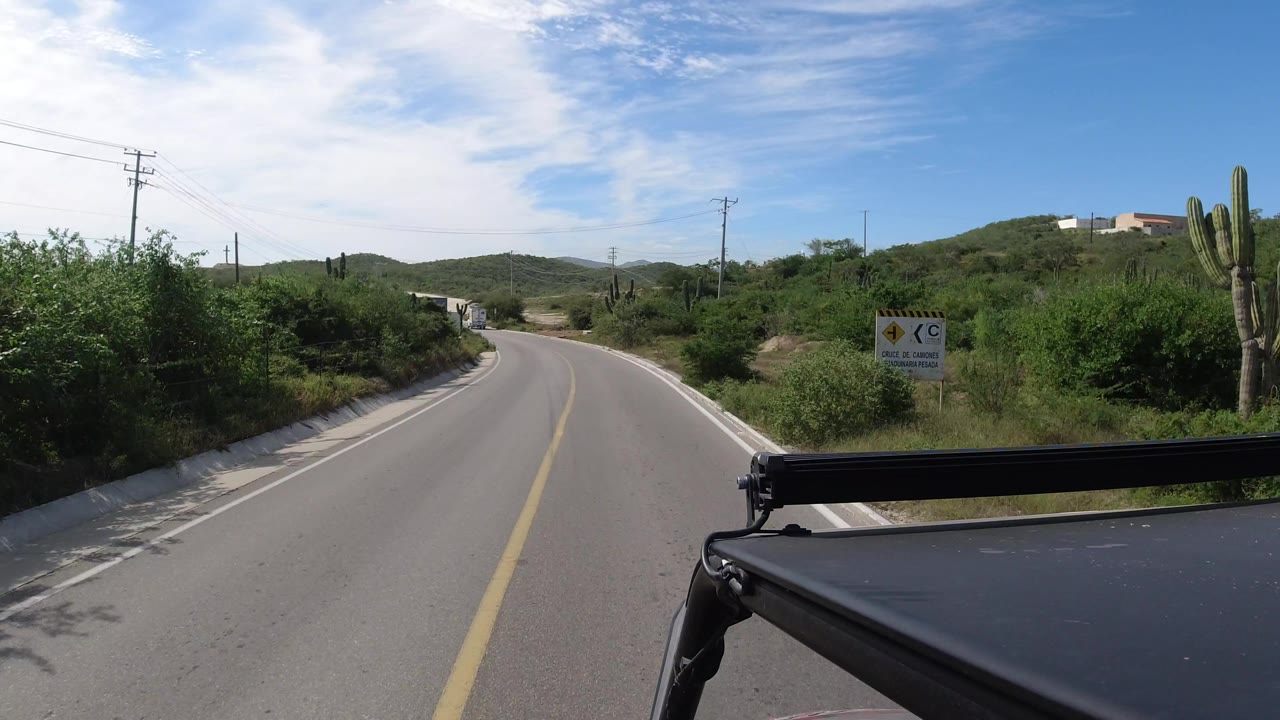 Road-level driving view in Los Cabos, Mexico, showing a gentle bend, a tall cactus on the right, thick roadside brush, overhead utility lines, and no visible people.