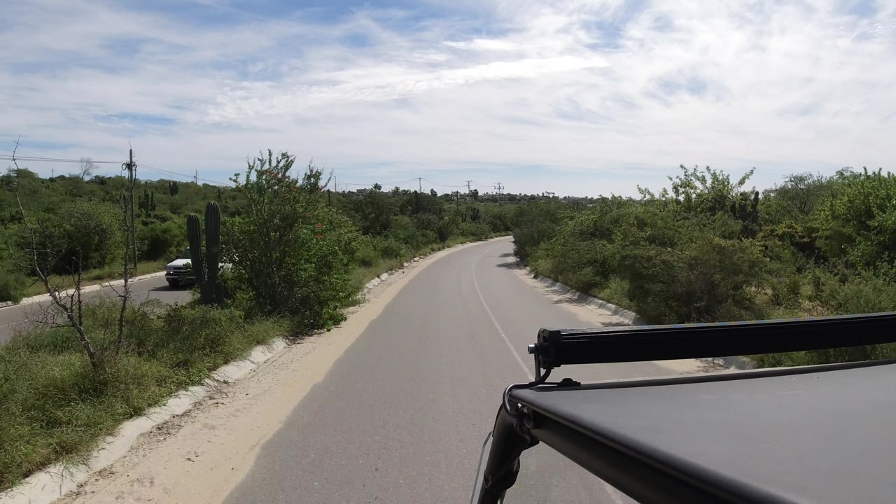 Road bend with dense shrubs, tall cacti, and a vehicle rail in the foreground.