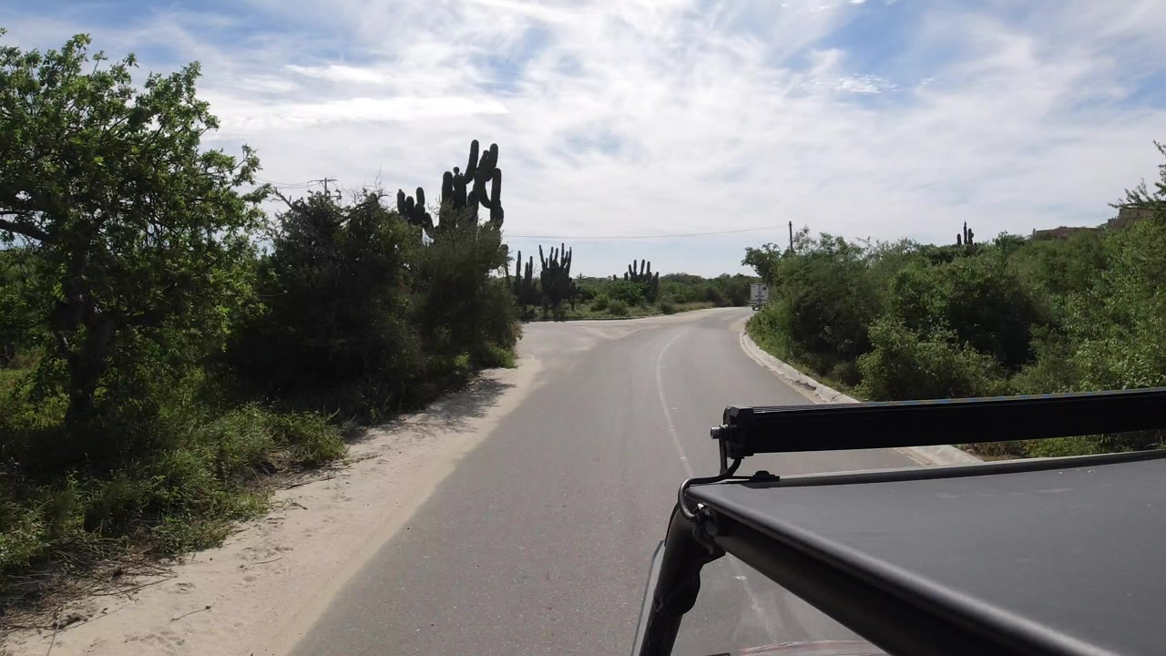 Paved road curving past shrubs and tall cacti with vehicle roof hardware in foreground.