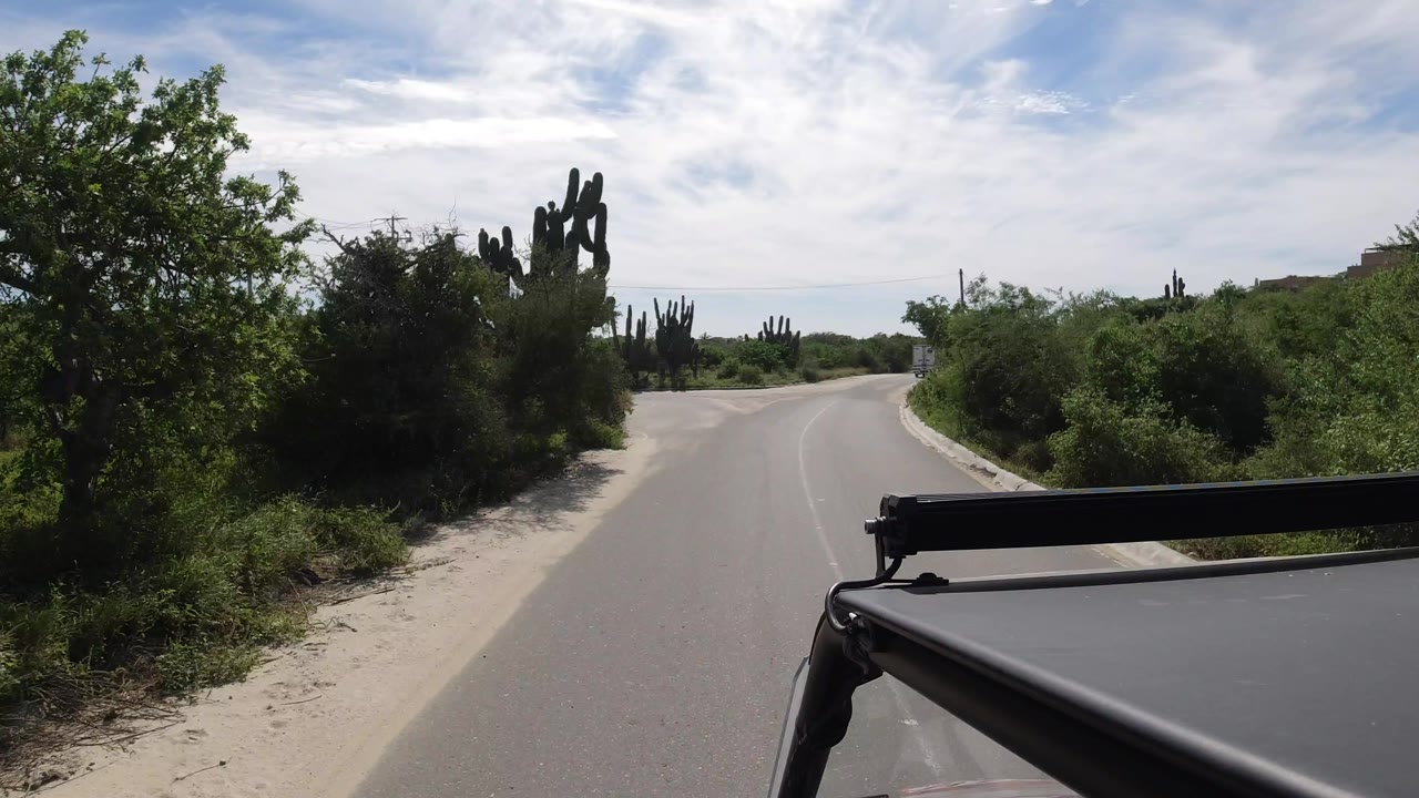 The vehicle-mounted view looks down a Los Cabos roadway with sandy shoulders, roadside shrubs, cactus clusters, a low horizon, and no visible people.