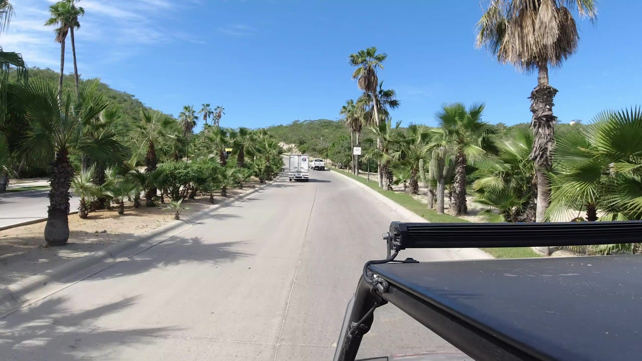 Palm-lined road seen from a vehicle under blue sky.