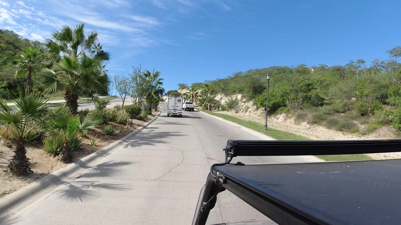 Road curves past palms and sandy planting beds with a white vehicle ahead.