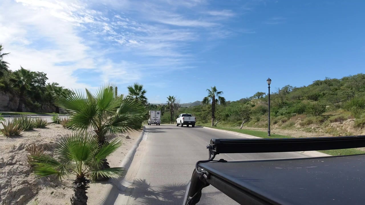 Los Cabos driving view with a palm frond close to the left foreground, two white vehicles ahead on the road, dry roadside soil, green hills, and no visible people.