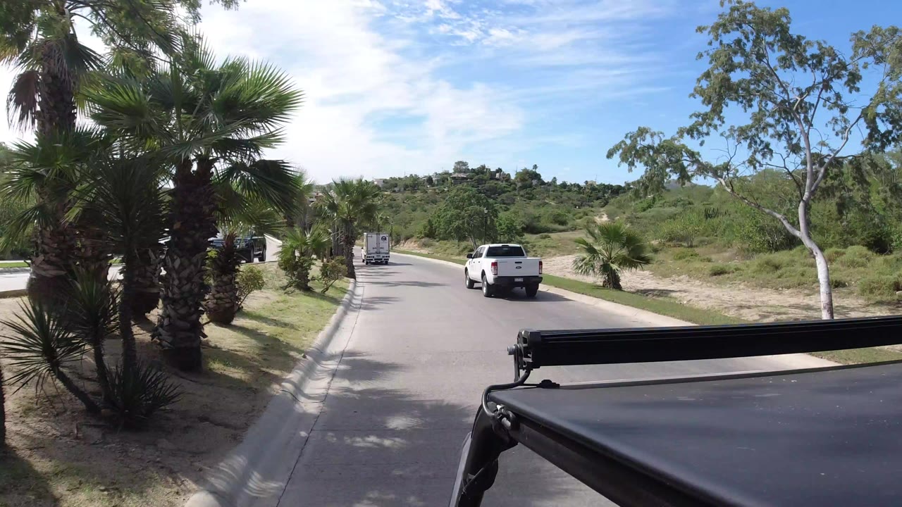 White pickup truck driving ahead on a palm-lined road