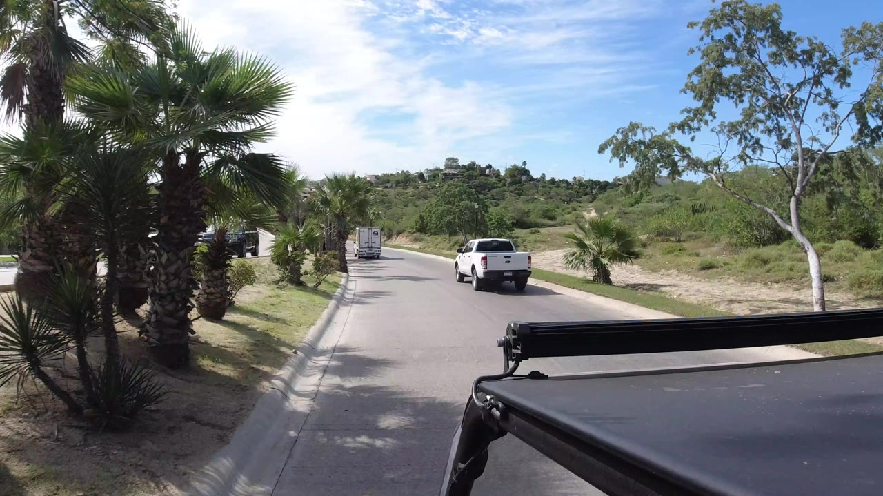 The pickup remains centered ahead on the Los Cabos road, with a large palm trunk near the left foreground, roadside greenery, distant low hills, and no visible people.