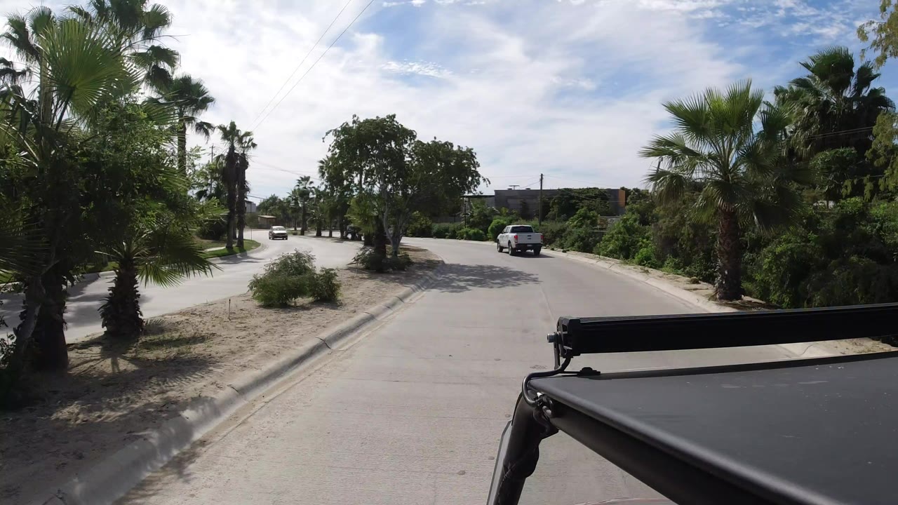 White pickup ahead on a paved Los Cabos street lined with palms and dry roadside soil, with a dark vehicle roof edge in the foreground and no visible people.