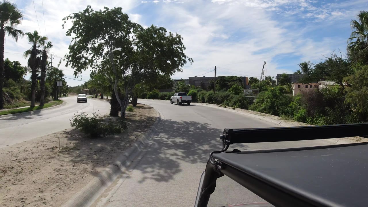 Street view with a white pickup, roadside tree shade, and palms under a bright sky.