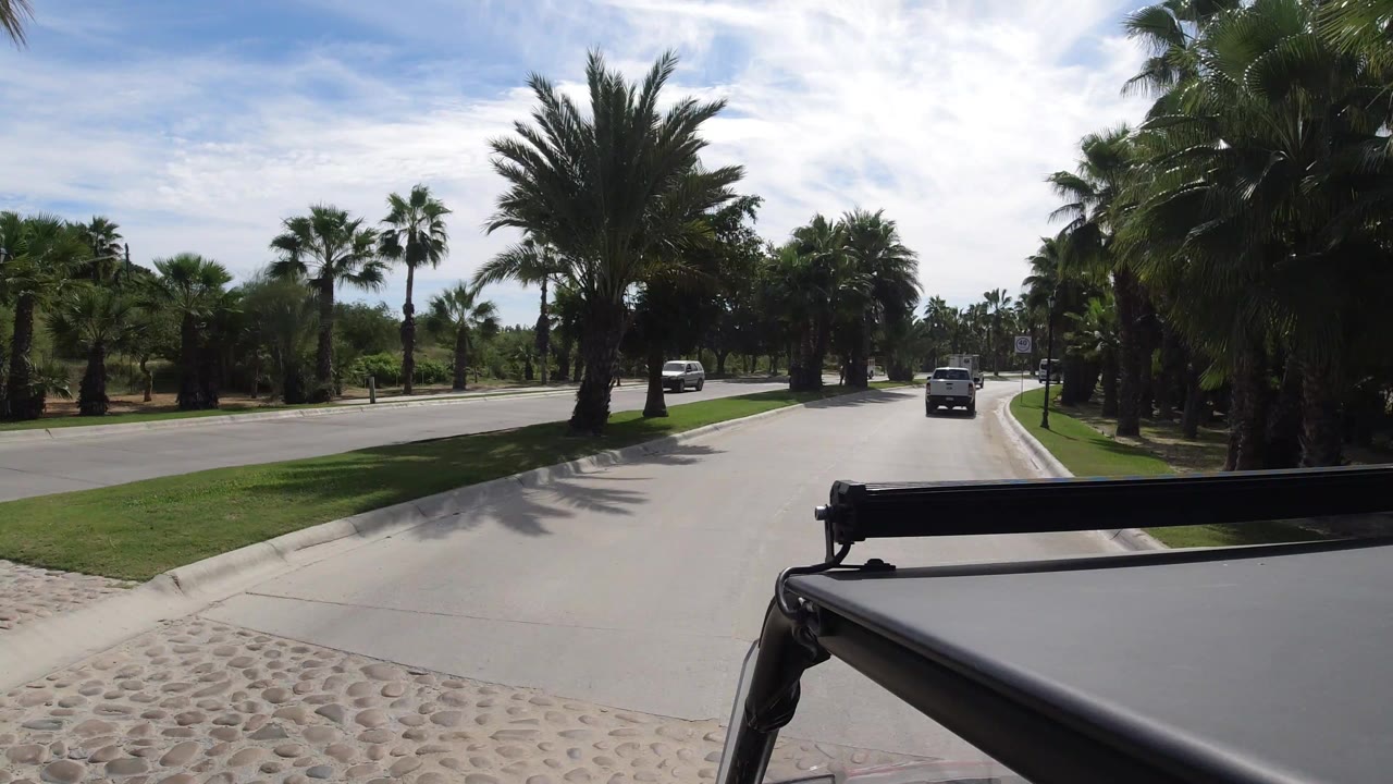 Los Cabos road seen from a vehicle-height angle with palm trees on both sides, a white vehicle ahead, bright sky, and no visible people.