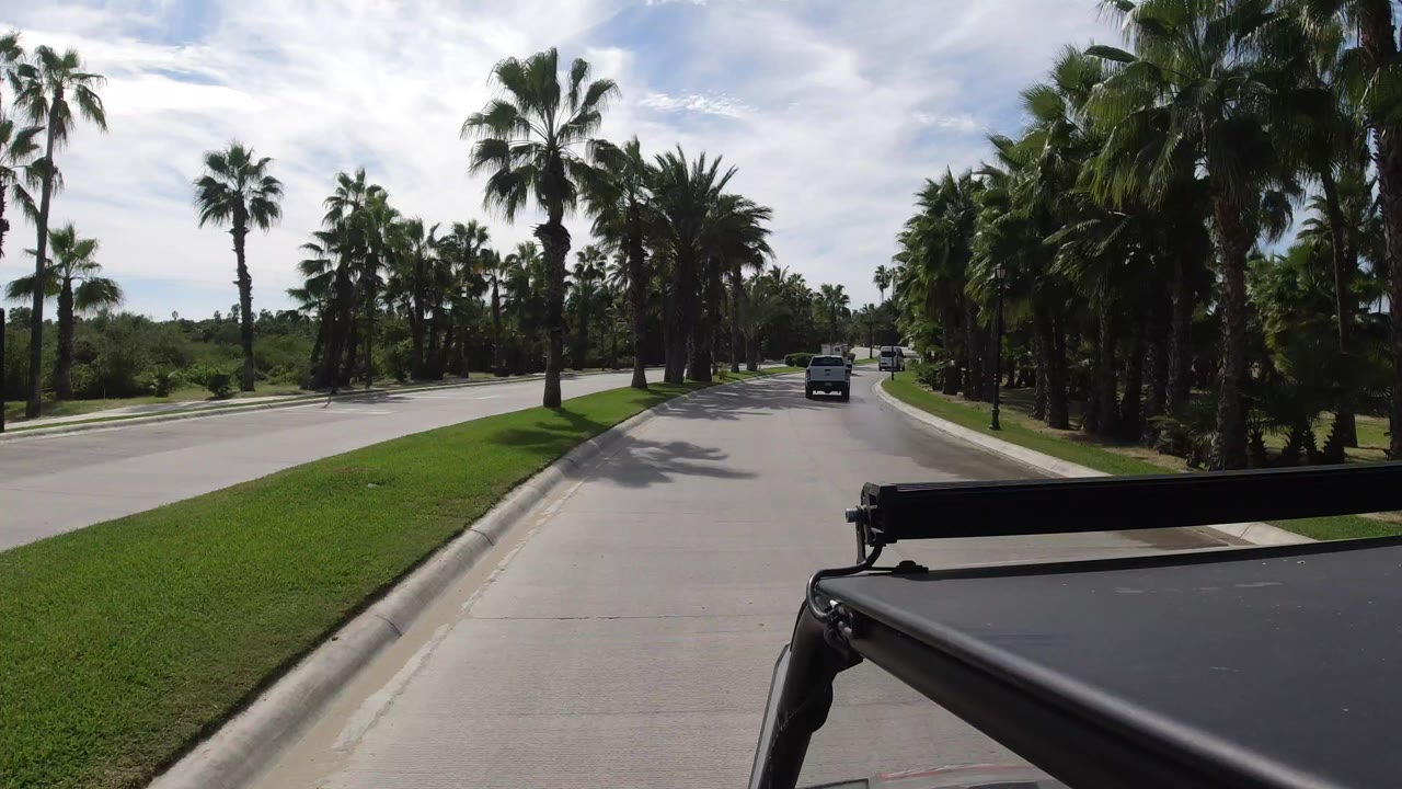 Palm-lined divided road seen from a moving vehicle.