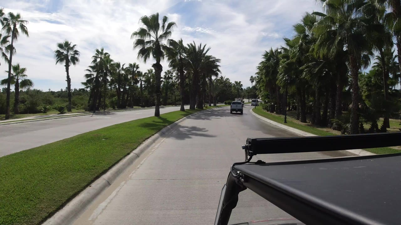 Los Cabos divided road curves gently ahead with palms and lawns on both sides, a white pickup in the lane, foreground vehicle hardware, and no visible people.