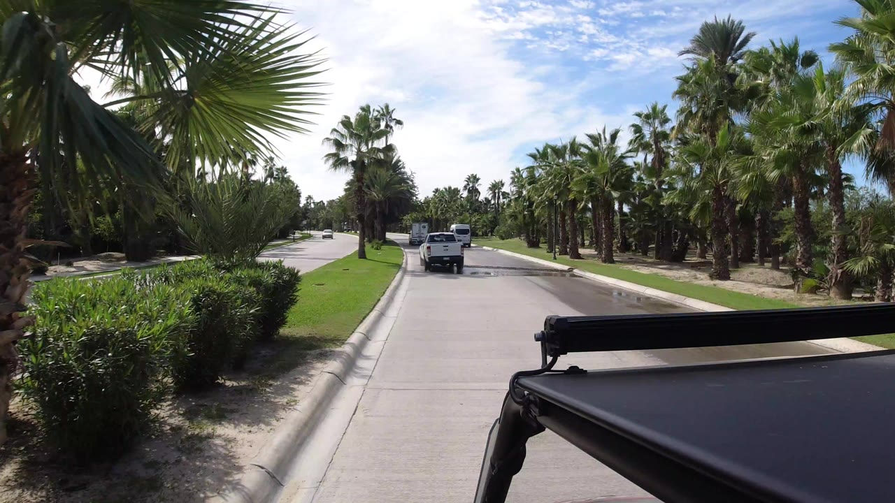 Palm-lined road with white vehicles ahead and black foreground vehicle edge.