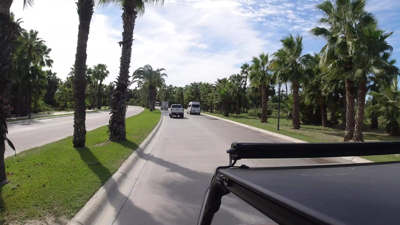 Palm-lined divided road with vans ahead and vehicle roof in foreground.