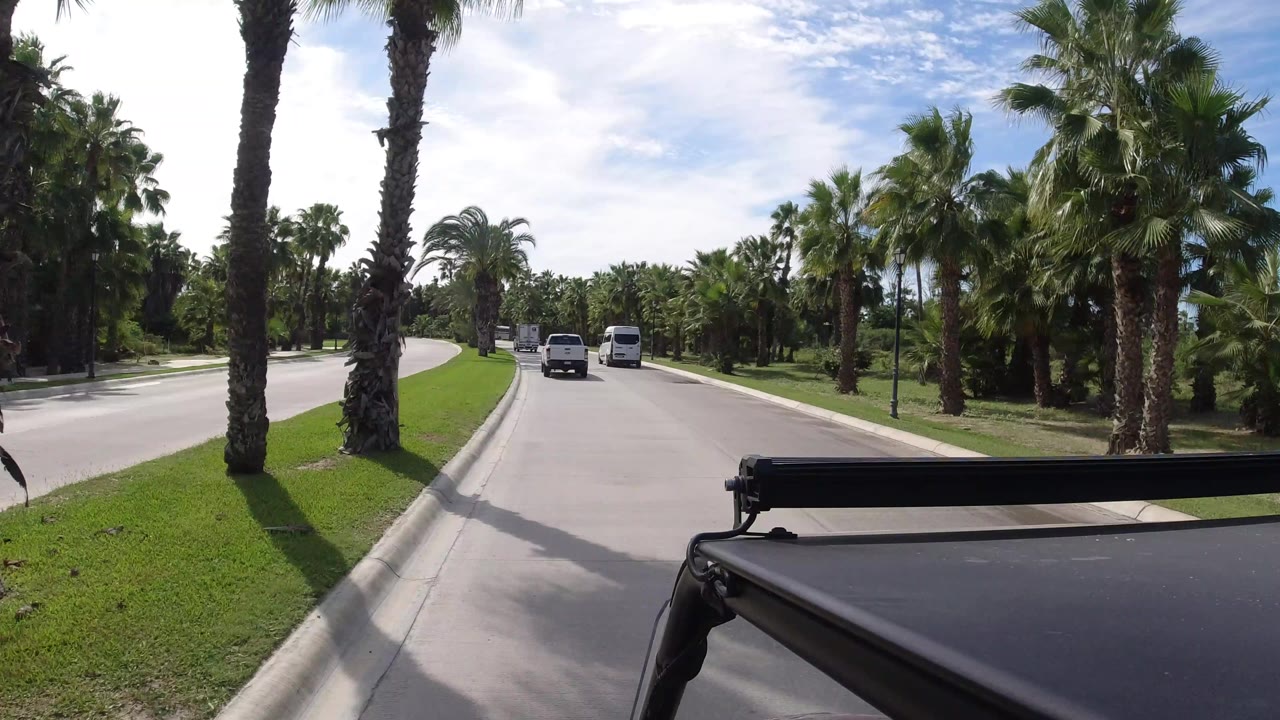 Palm-filled Los Cabos street view with a central grass strip, distant white vans, trimmed roadside greenery, and no visible people.
