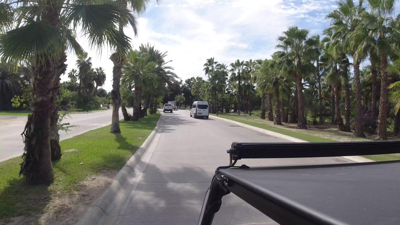 Los Cabos road bordered by tall palm trees and grass, with white vans ahead and a dark vehicle railing across the lower foreground, no visible people.