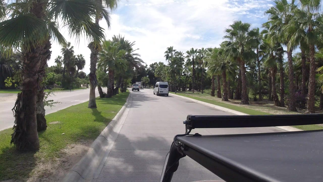 White van drives ahead on a sunny Los Cabos road lined with palms, lawn, and planted landscaping, with no visible people.