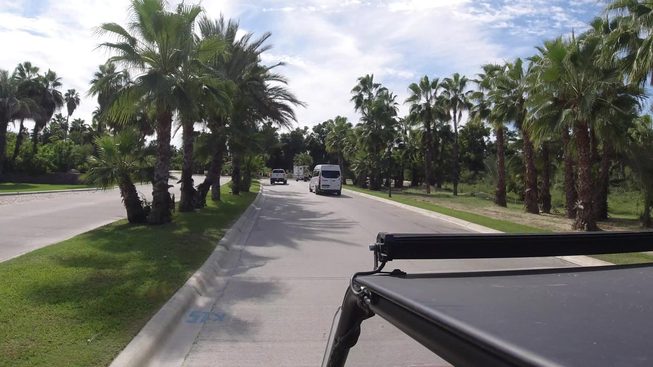 Road curving through palm trees with a white van ahead