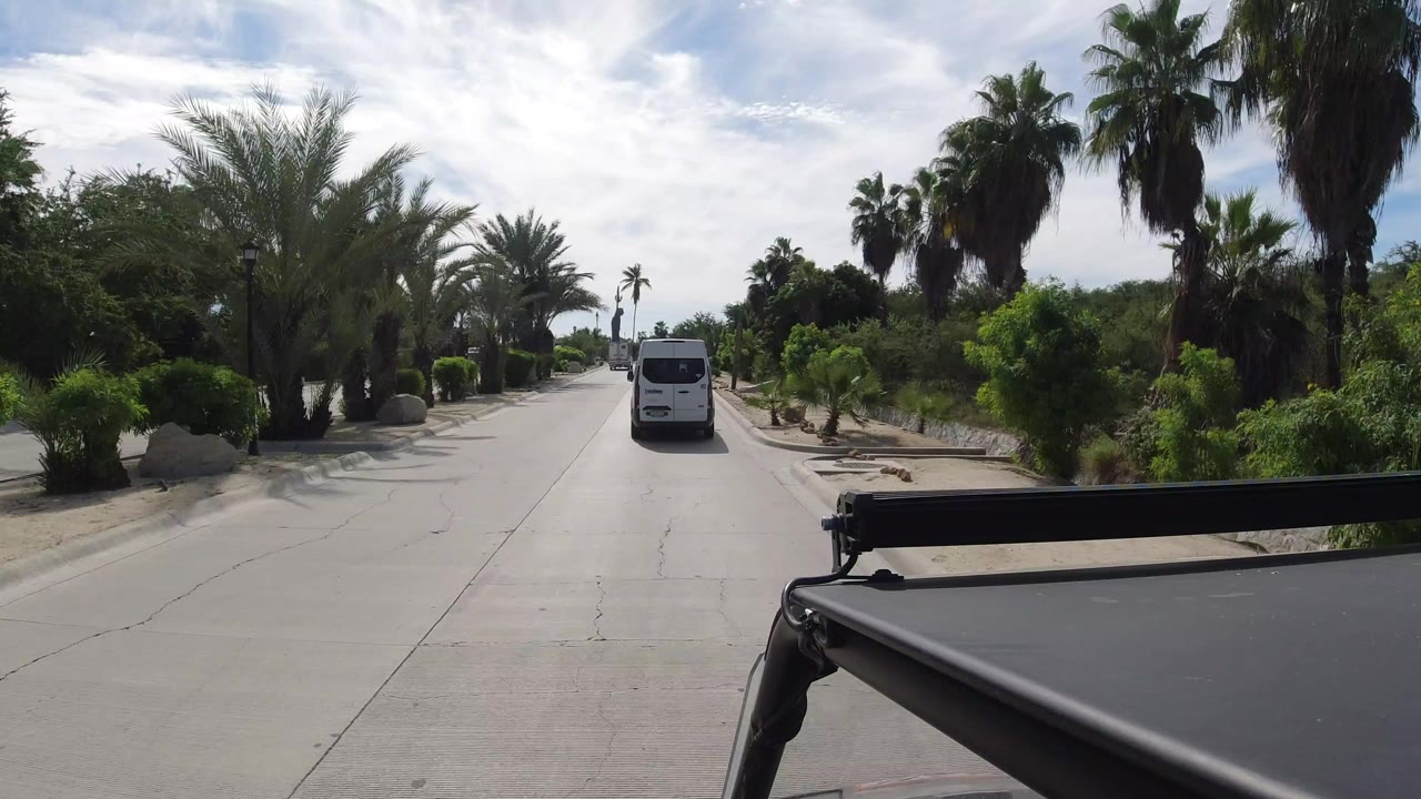 White van ahead on a palm-lined sunlit road.