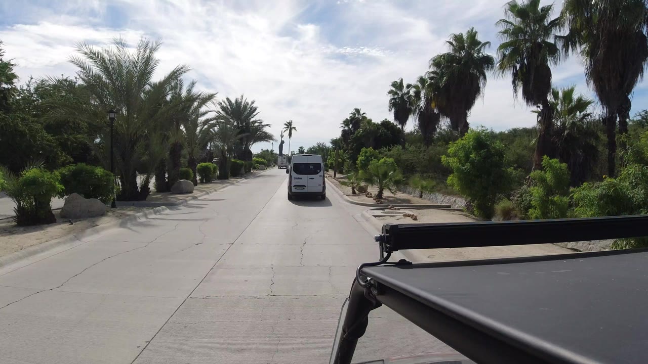 The van remains centered farther down the Los Cabos street, bordered by palms, rounded shrubs, curbs, and bright hazy sky, with no visible people.