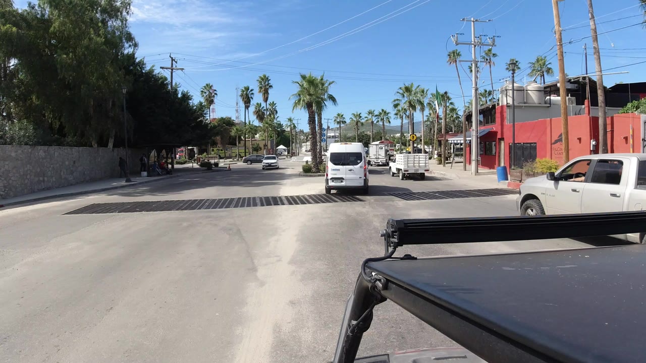 Palm-lined street with vehicles and a red building