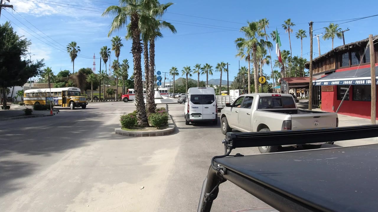 Palm-lined street with buses, cars, and a storefront in bright sun.