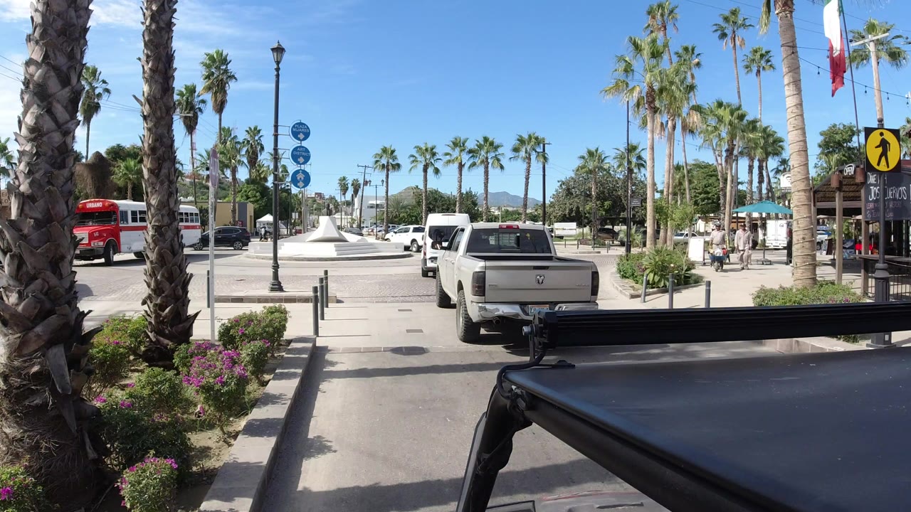 Vehicle follows a pickup near a palm-lined roundabout