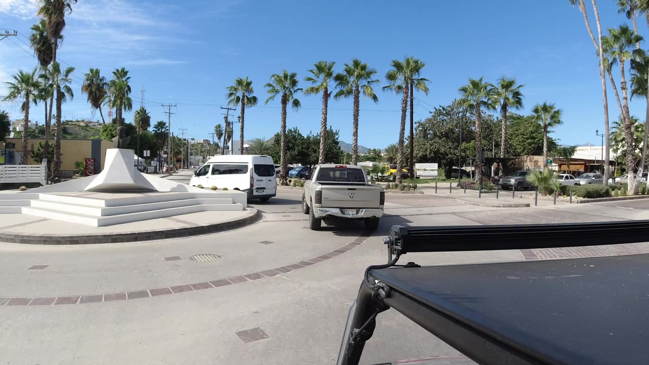 Street view with palm trees, a white pickup, and a vehicle roof in the foreground.