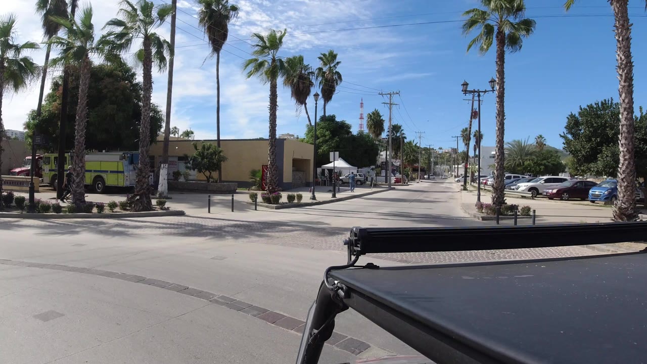 Opening view of a Los Cabos street with tall palms, parked cars, low buildings, and a black vehicle roof or rail in the foreground, with no visible people apparent in this frame.