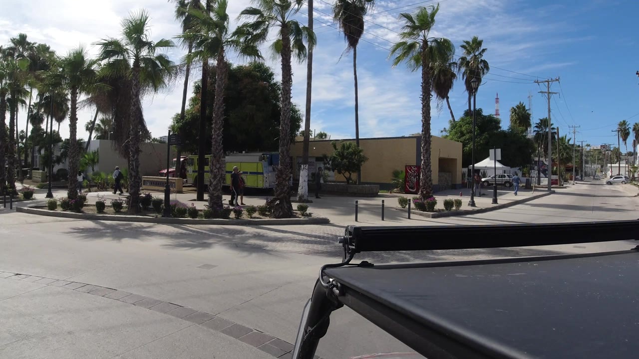 Palm-lined intersection with pedestrians and a yellow-green vehicle near the curb.