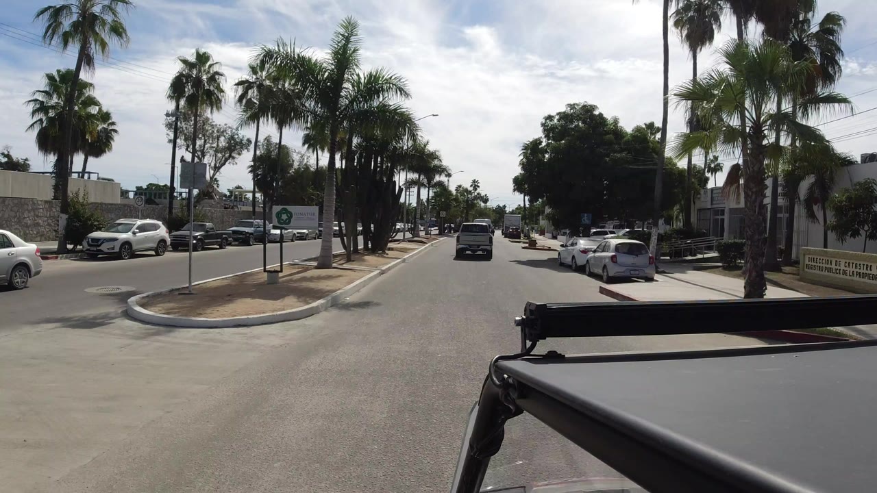 Palm-lined street seen from the top of a moving jeep.