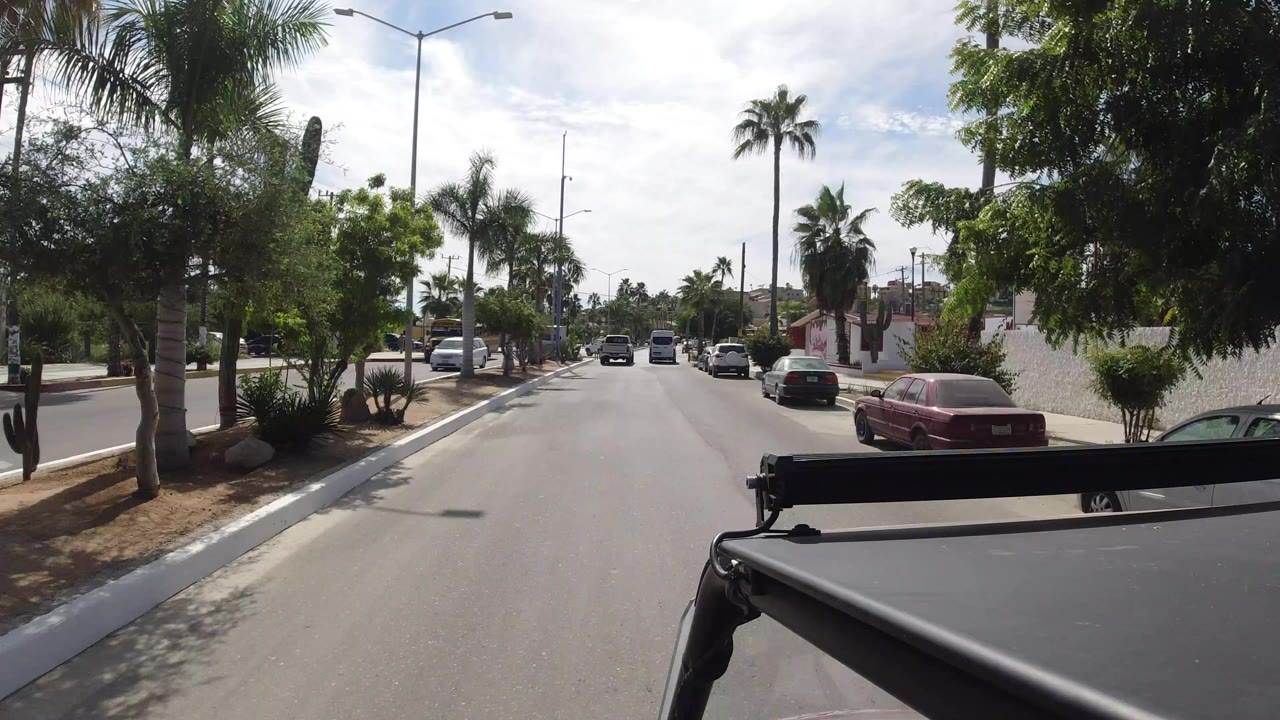 Los Cabos street view with palms, parked cars, a planted median, low buildings, bright sky, and no visible people at the start of the clip.
