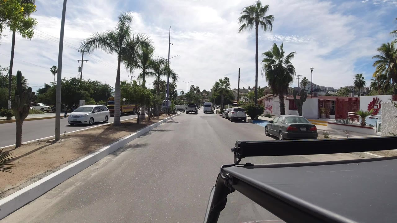 Street scene with palms, parked cars, and a red-walled property.