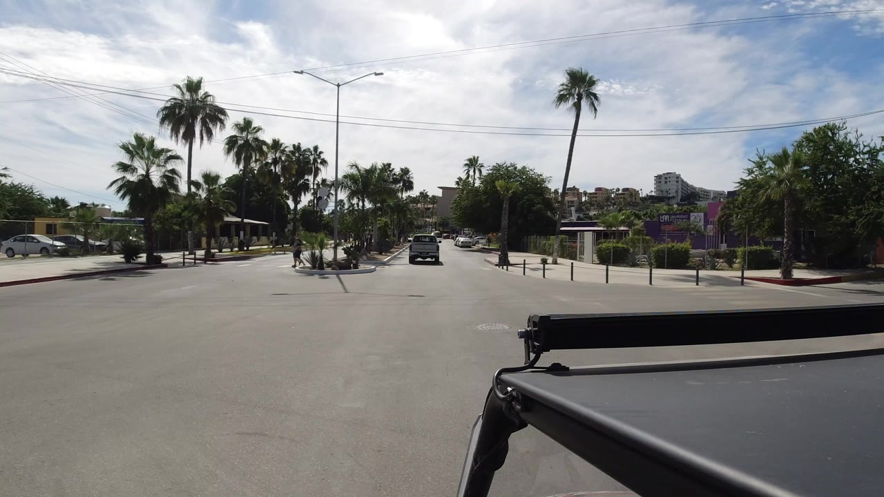 Palm-lined road with a black car ahead and a dark vehicle edge in the foreground.