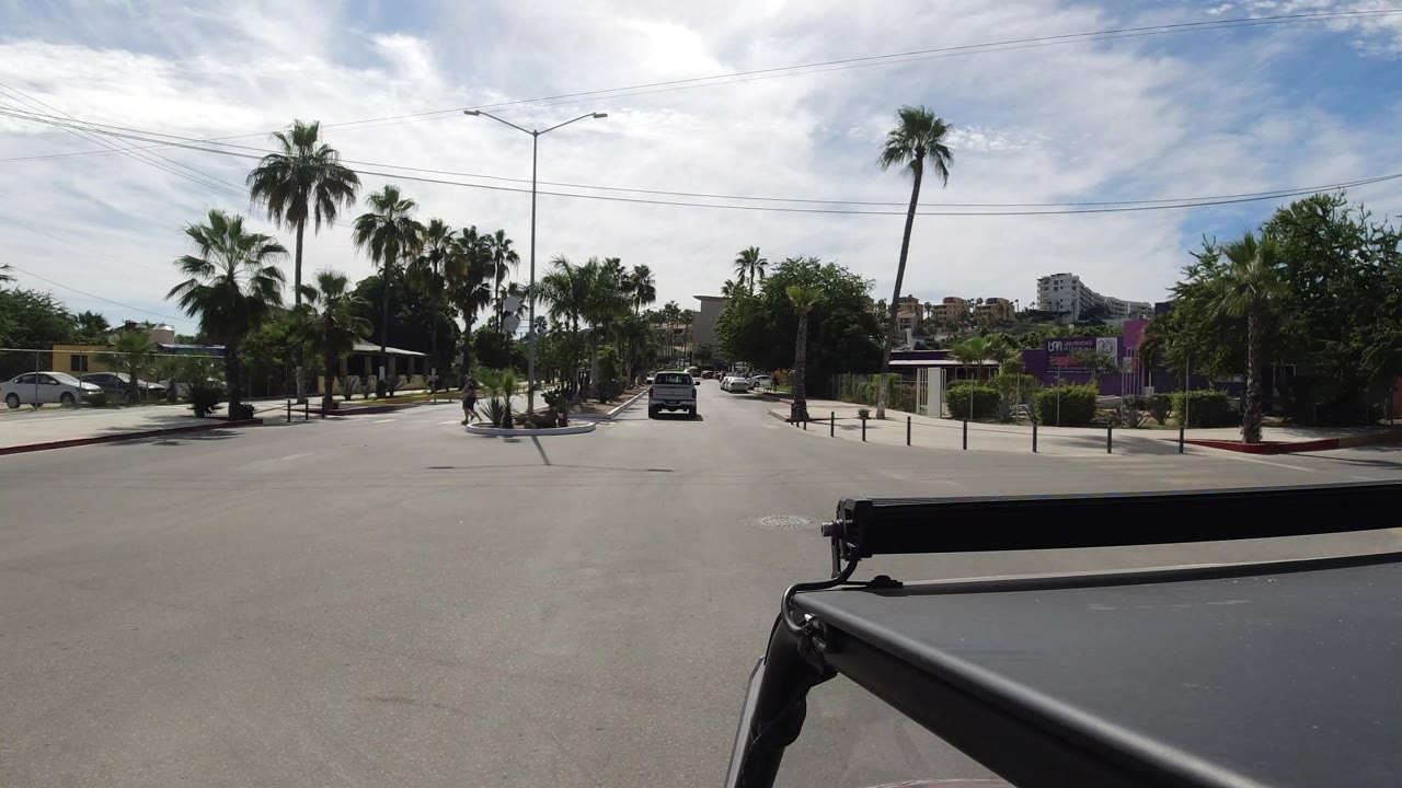 Los Cabos road view with the black car centered ahead, palms on both sides, low roadside buildings, a purple sign area, and bright midday sky.