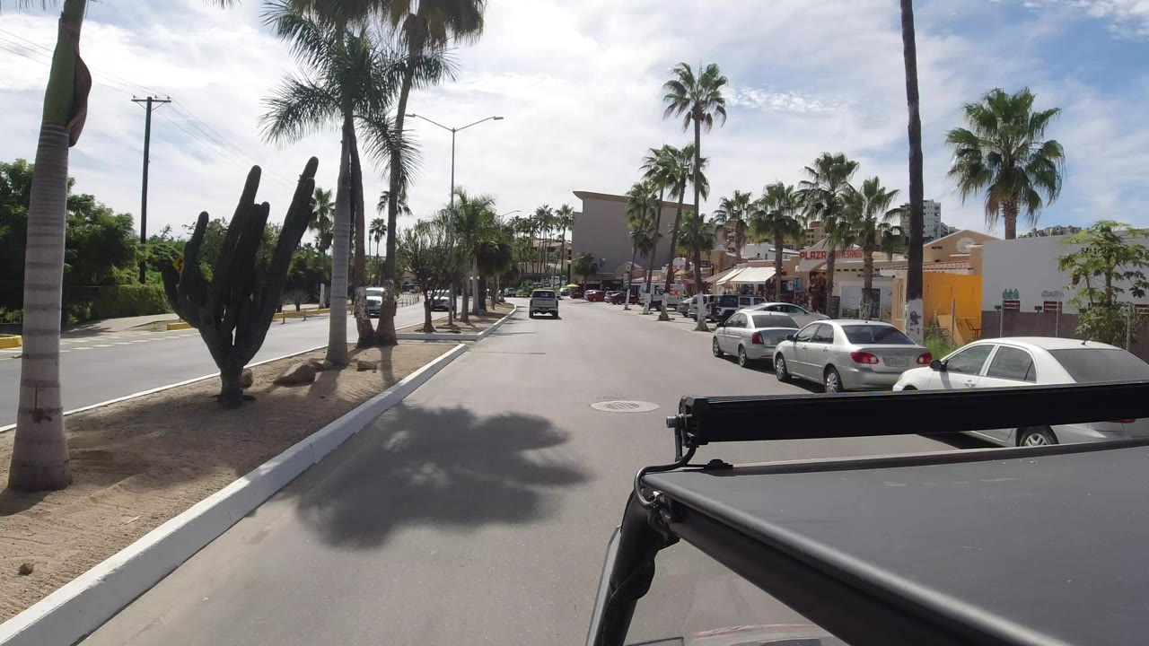 Palm-lined street viewed from a moving vehicle with parked cars and shops ahead.