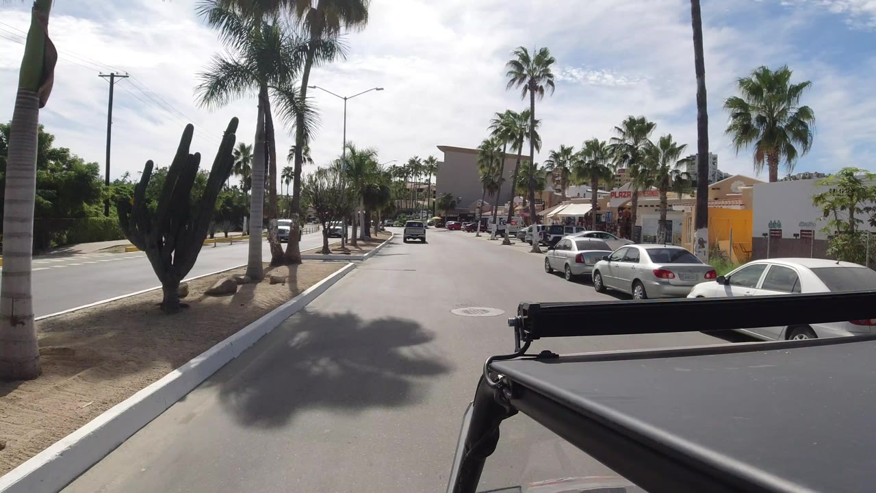 Los Cabos road scene with cactus landscaping on the left, palms along both sides, parked cars near shops, bright pavement, and no visible people.