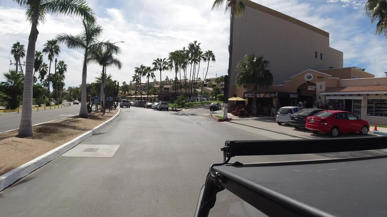 Palm-lined street beside a stucco building and parked cars.