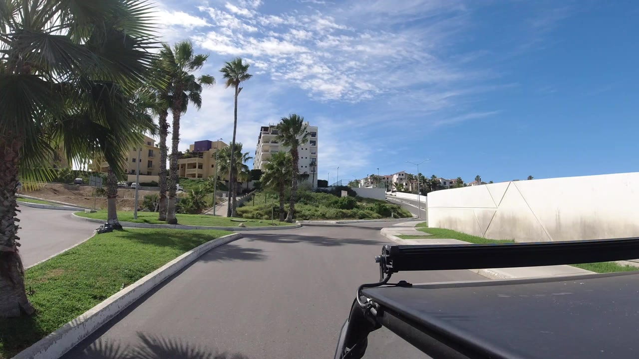 Palm-lined road with residential buildings and a white wall.