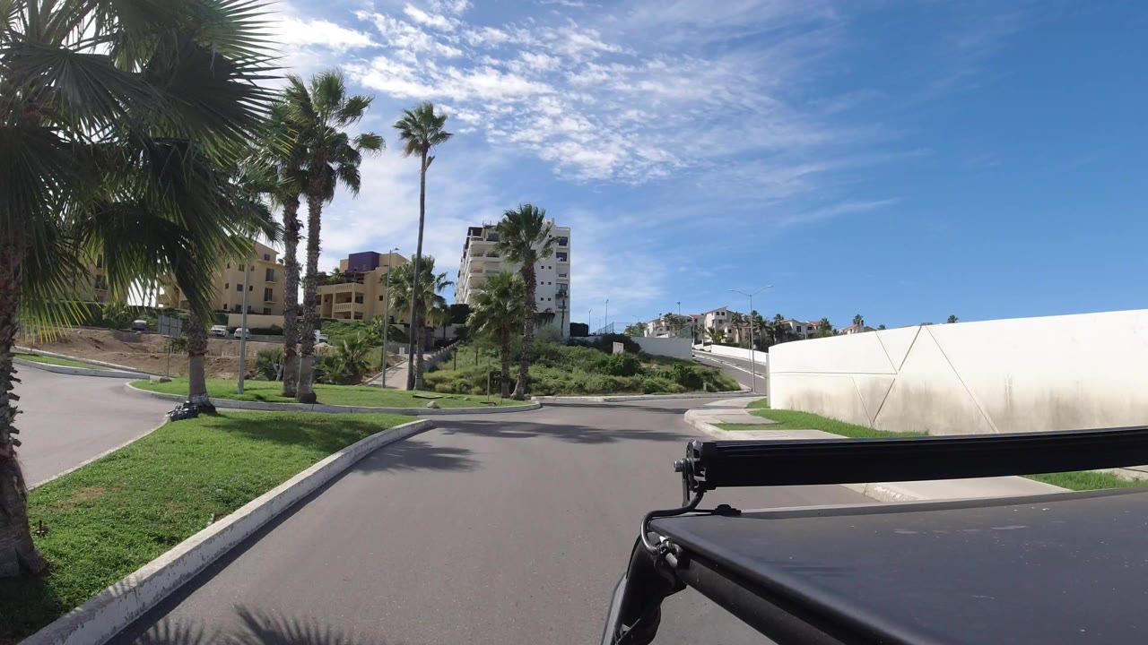 Los Cabos street scene with a curving paved road, tall palms, trimmed grass, apartment buildings in the background, a white roadside wall, and no visible people.