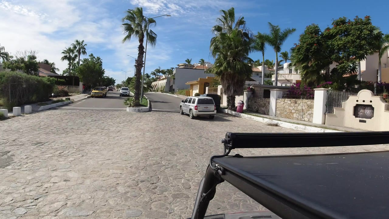 Residential street with palm trees and parked cars viewed from a vehicle.