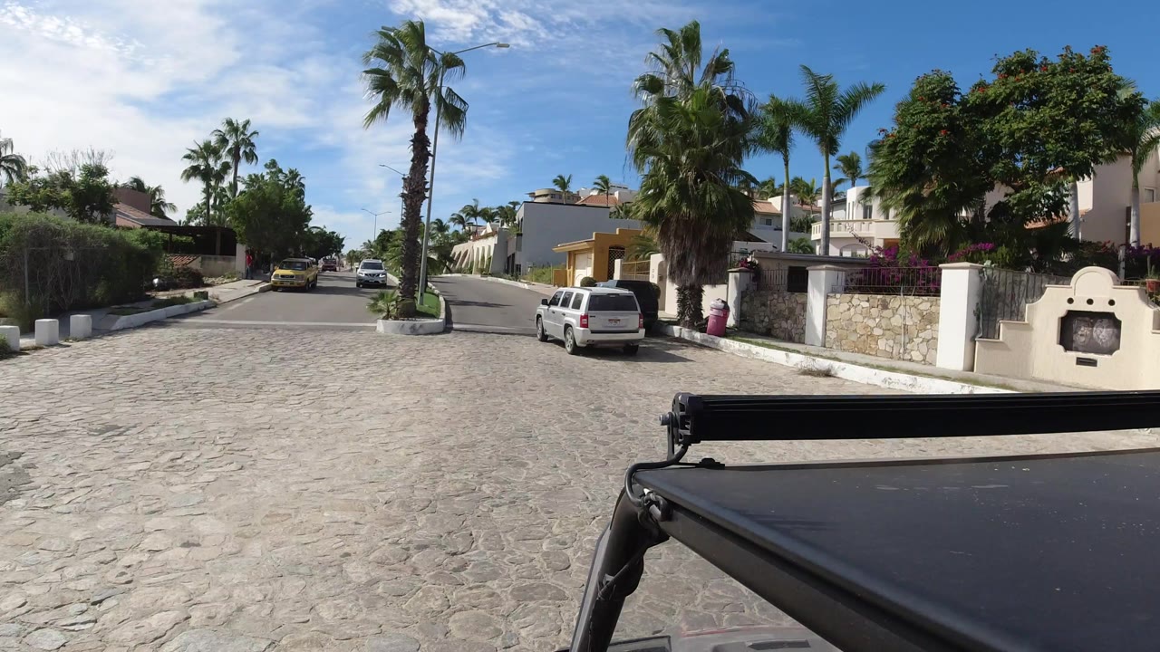 Los Cabos street view with a white car ahead, palms over the roadway, residential walls, and no visible people.