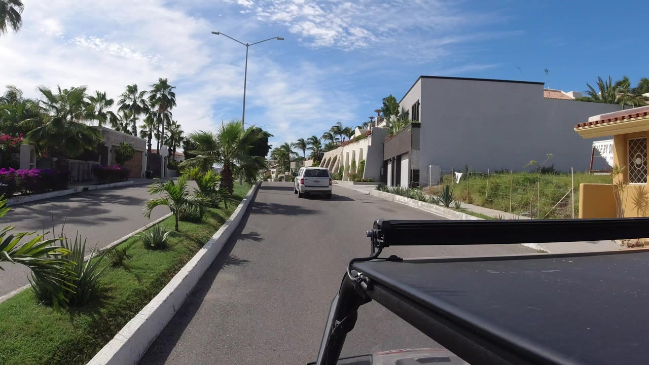Forward-facing Los Cabos street view with a white van in the lane ahead, palms and flowering plants along the curb, and no visible people.