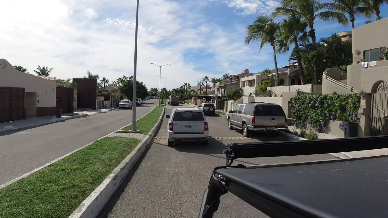 White SUV near a speed bump on a palm-lined residential street.