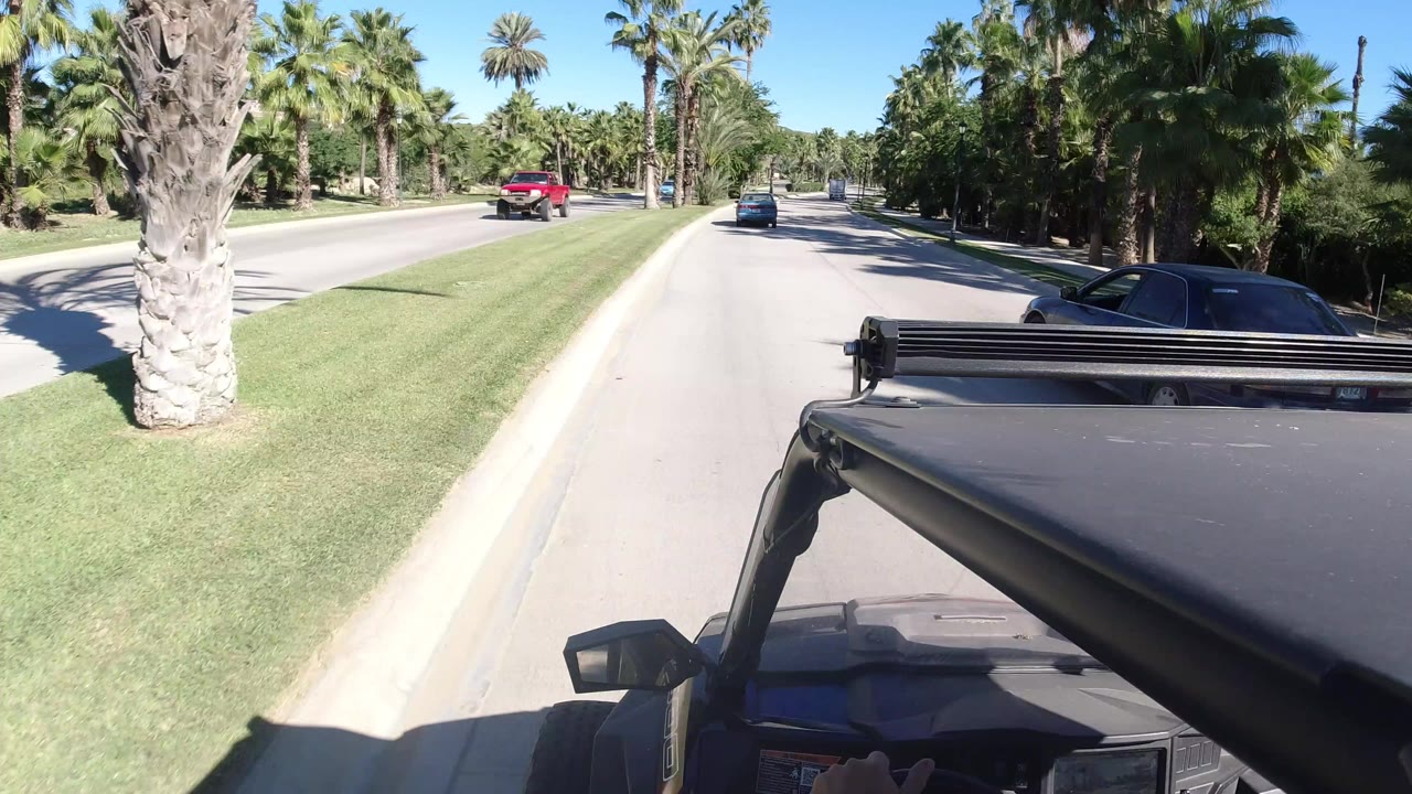Jeep hood on a palm-lined road in bright sun.