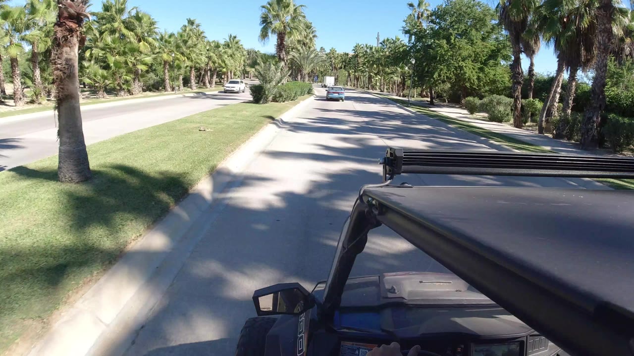 Forward view from a vehicle on a palm-lined road.