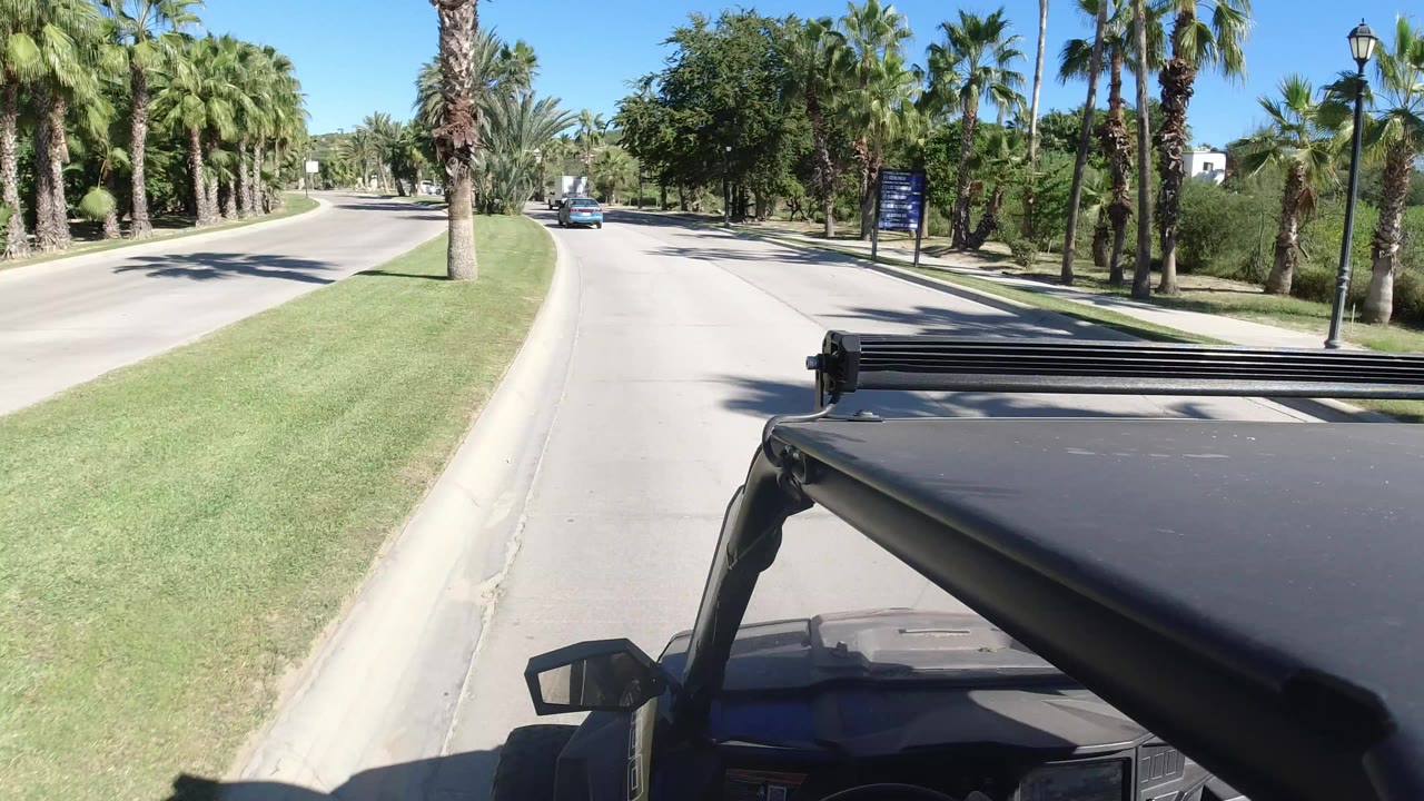 Palm-lined road seen over a vehicle roof on a sunny day.