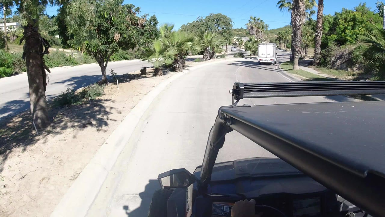 Vehicle view down a sunlit paved road with palms and a white truck ahead.
