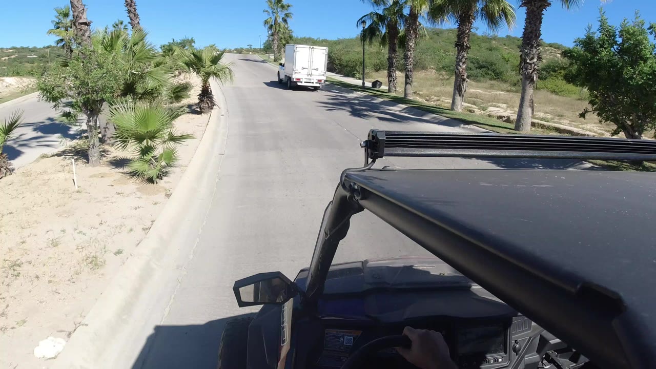 Black vehicle follows a white truck on a palm-lined road.