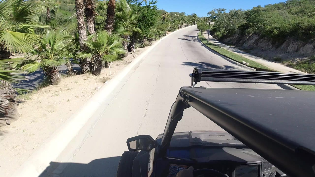 The vehicle advances along the pale road in Los Cabos, Mexico, with palm fronds close to the right edge and scrub-covered hillside beyond.