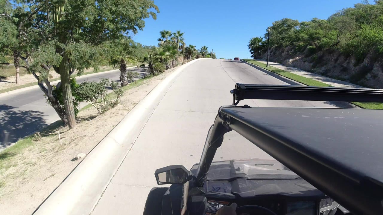 A Los Cabos road rises under a clear blue sky with palms and shrubs along the shoulder, part of the vehicle roof visible in front, and no visible people.